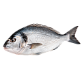Рыба