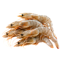 Креветки